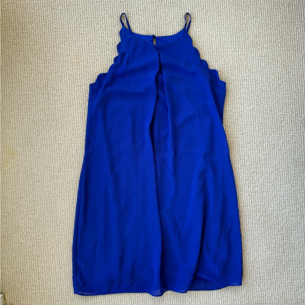 IN San Francisco Cobalt Blue Scalloped Shift Dress Size Small